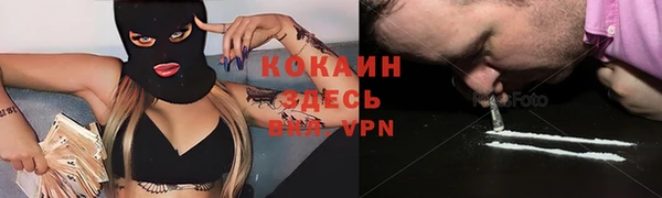 спиды Дмитров