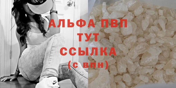 спиды Дмитров