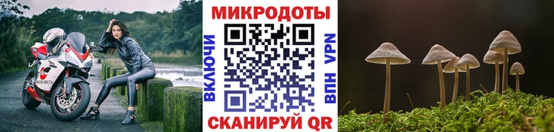 Галлюциногенные грибы прущие грибы  Купить закладки  Малоархангельск 